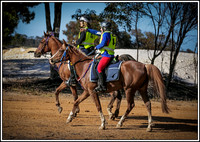 TQ14 Wagin WA